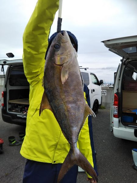 船ジギング釣り果